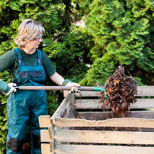 Everything you need to know about composting