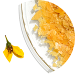 Copernicia cerifera cera (carnauba wax)