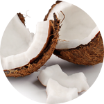 Coconut