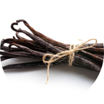 Vanilla planifolia (vanilla) oil