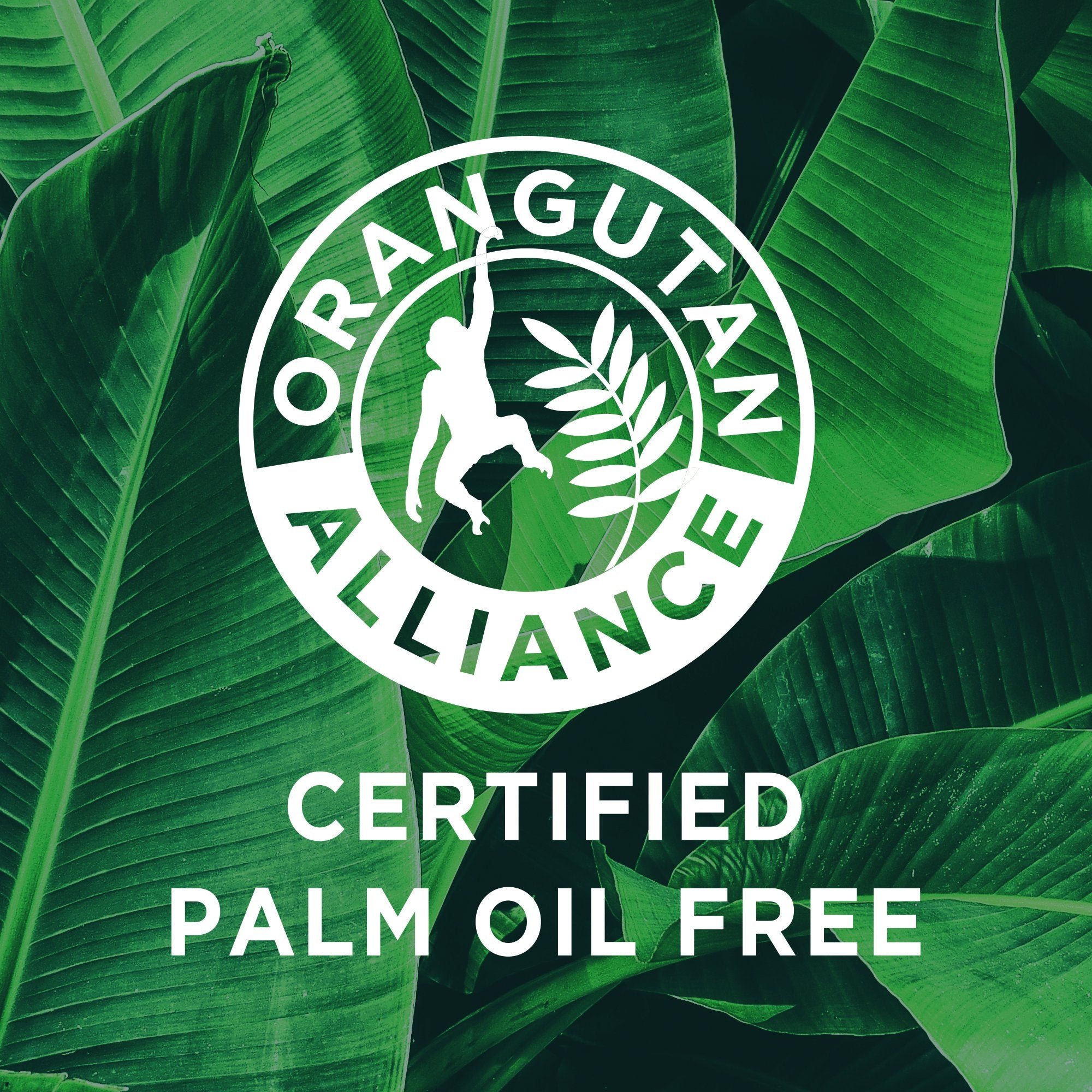 Shampoo Without Palm Oil