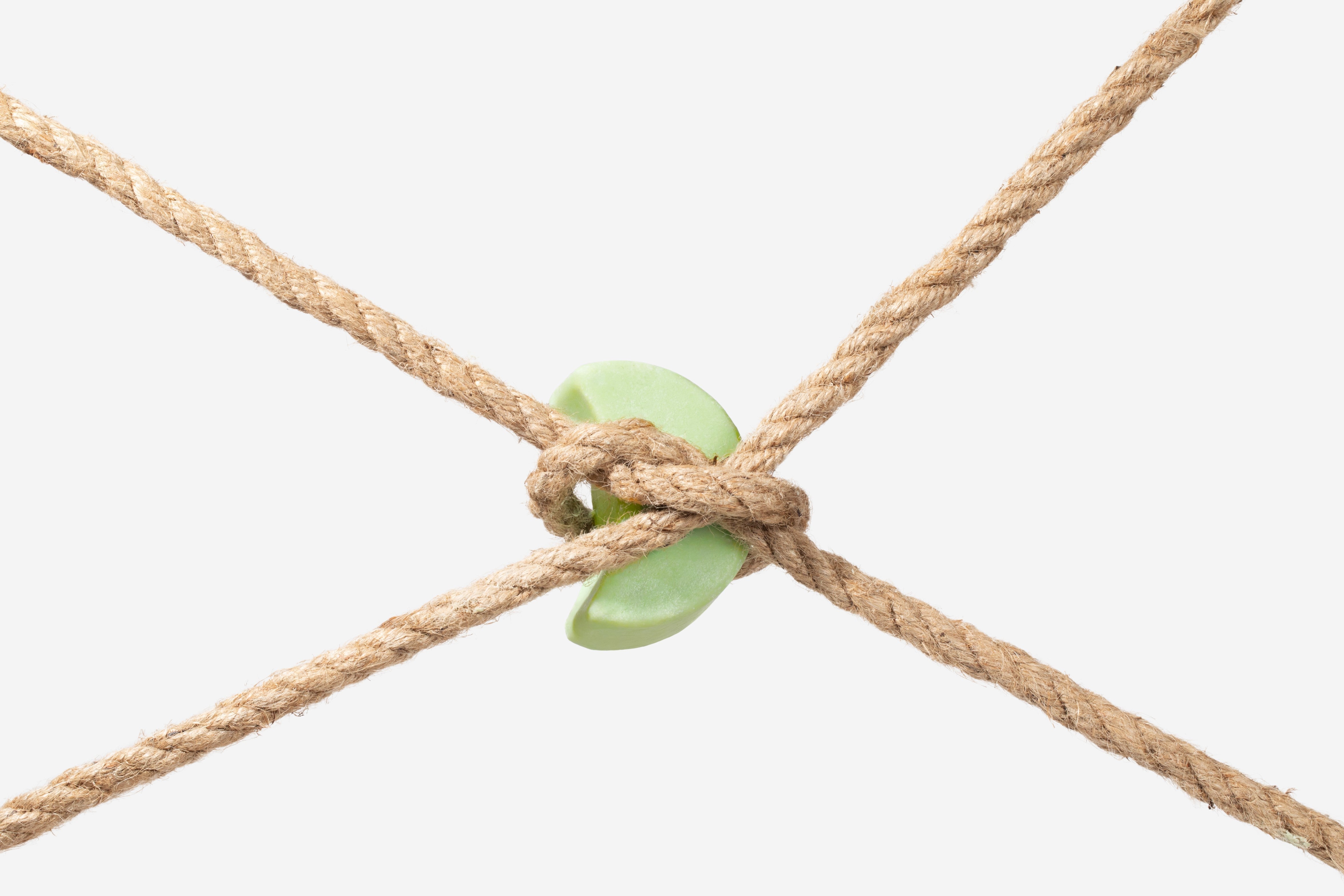 Hair Thinning vs Hair Loss vs Breakage: How to Tell What's Actually Happening