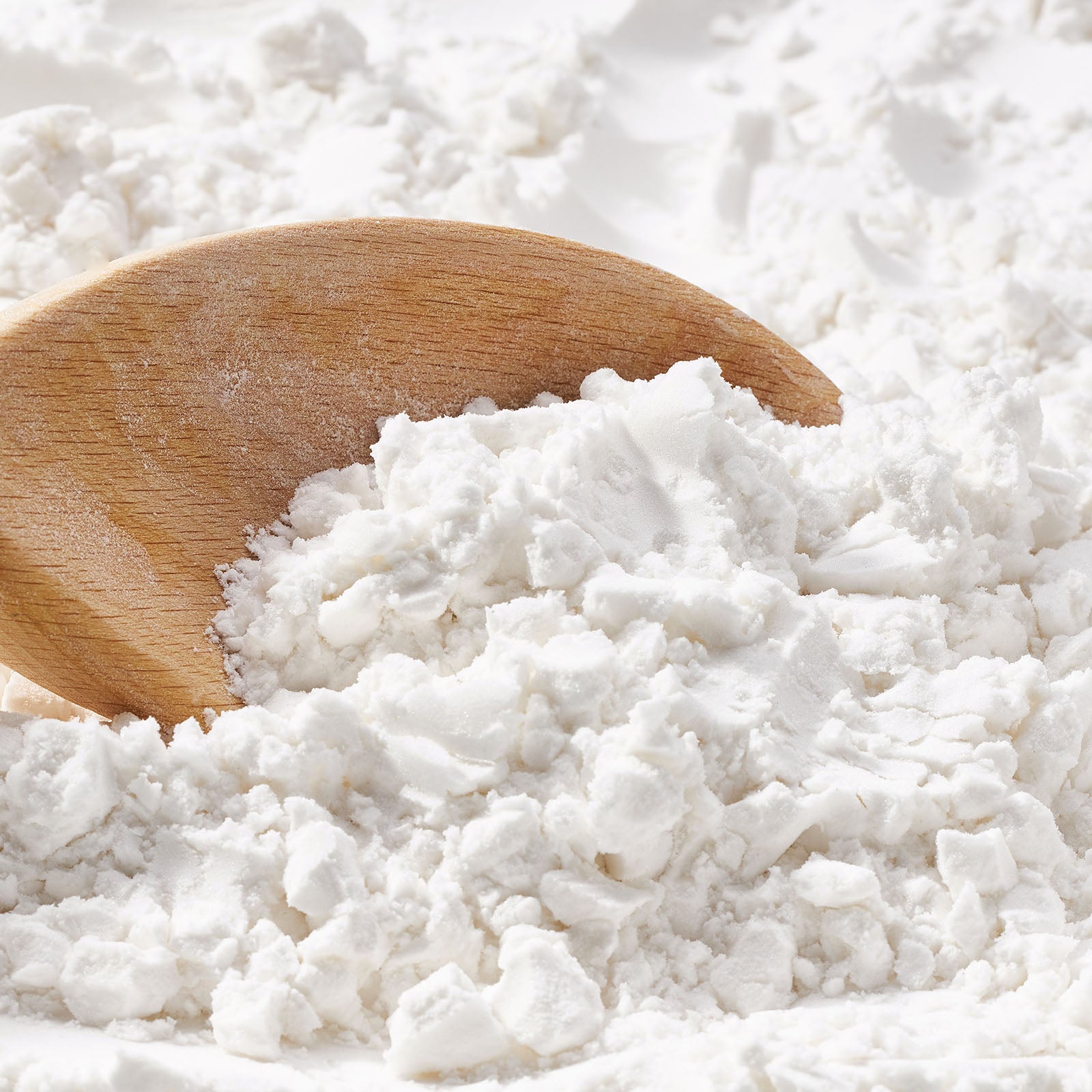 Oryza sativa (rice) powder