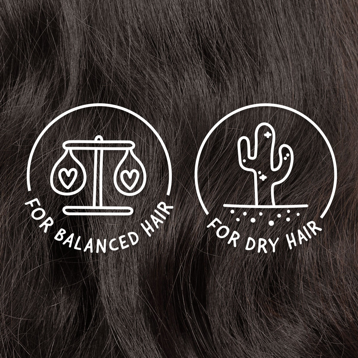 for balanced hair. for dry hair