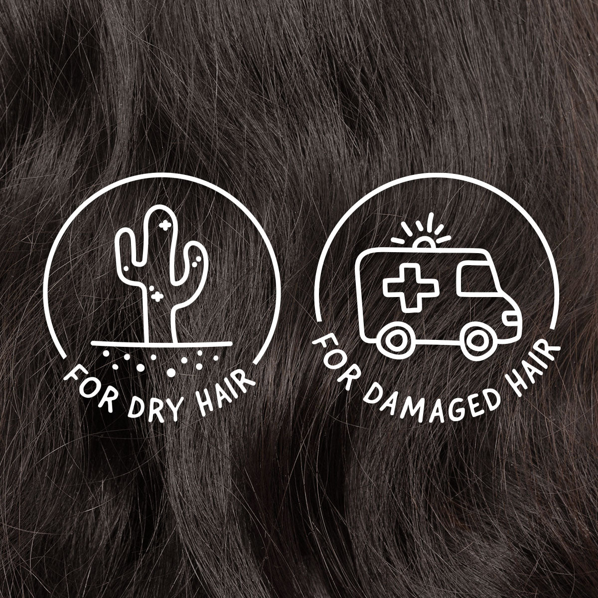 for dry hair. for damaged hair