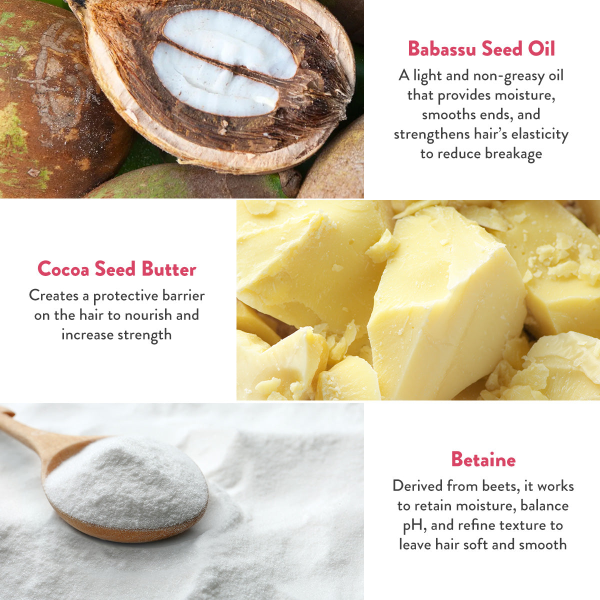 Babassu Seed Oil a light and non greasy oil that provides moisture, smooths ends, and strengthens hair's elasticity to reduce breakage. Cocoa Seed Butter creates a protective barrier on the hair to nourish and increase strength. Betaine derived from beets, it works to retain moisture, balance pH, and refine texture to leave hair soft and smooth.