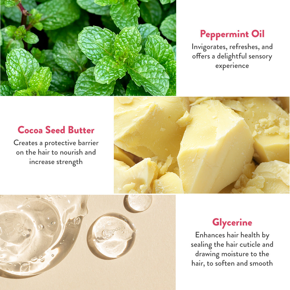 Peppermint Oil invigorates, refreshes, and offers a delightful sensory experience. Cocoa Seed Butter creates a protective barrier on the hair to nourish and increase strength. Glycerine enhances hair health by sealing the hair cuticle and drawing moisture to the hair, to soften and smooth.