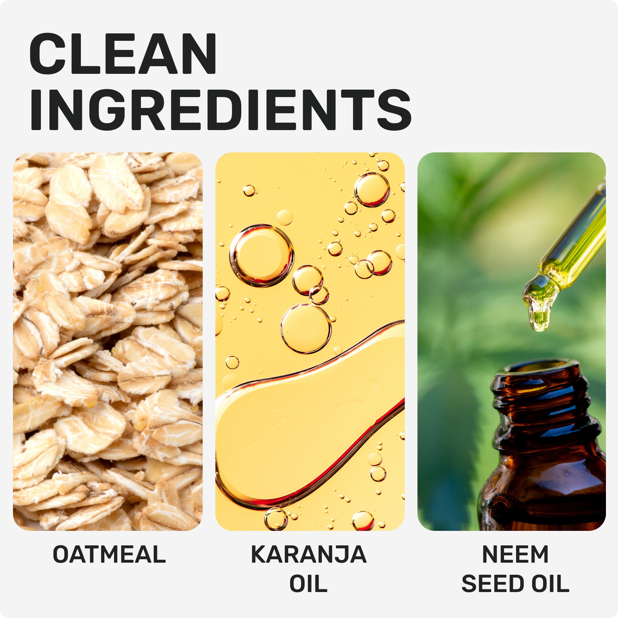 CLEAN INGREDIENTS
OATMEAL
KARANJA OIL
NEEM SEED OIL