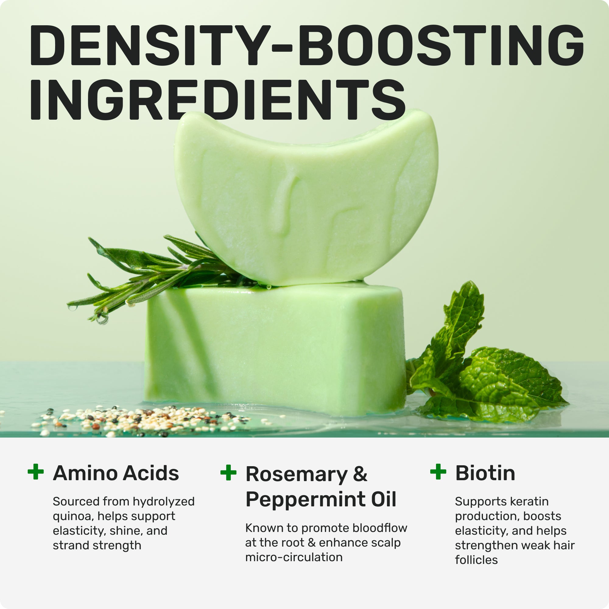 Density- boosting ingredients
Amino acids sourced from hydrolyzed quinoa, helps support elasticity, shine, and strand strength
rosemary + peppermint oil known to promote bloodflow at the root and enhance scalp microcirculation
Biotin support keratin production boosts elastcity and helps strengthen weak hair follicles