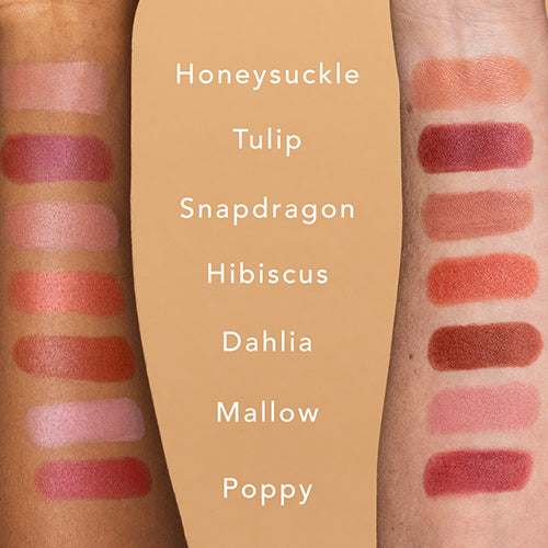 Lipstick swatch - honeysuckle, tulip, snapdragon, hibiscus, dahlia, mallow, poppy
