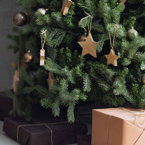 How to have the greenest Christmas tree: Real vs Artificial