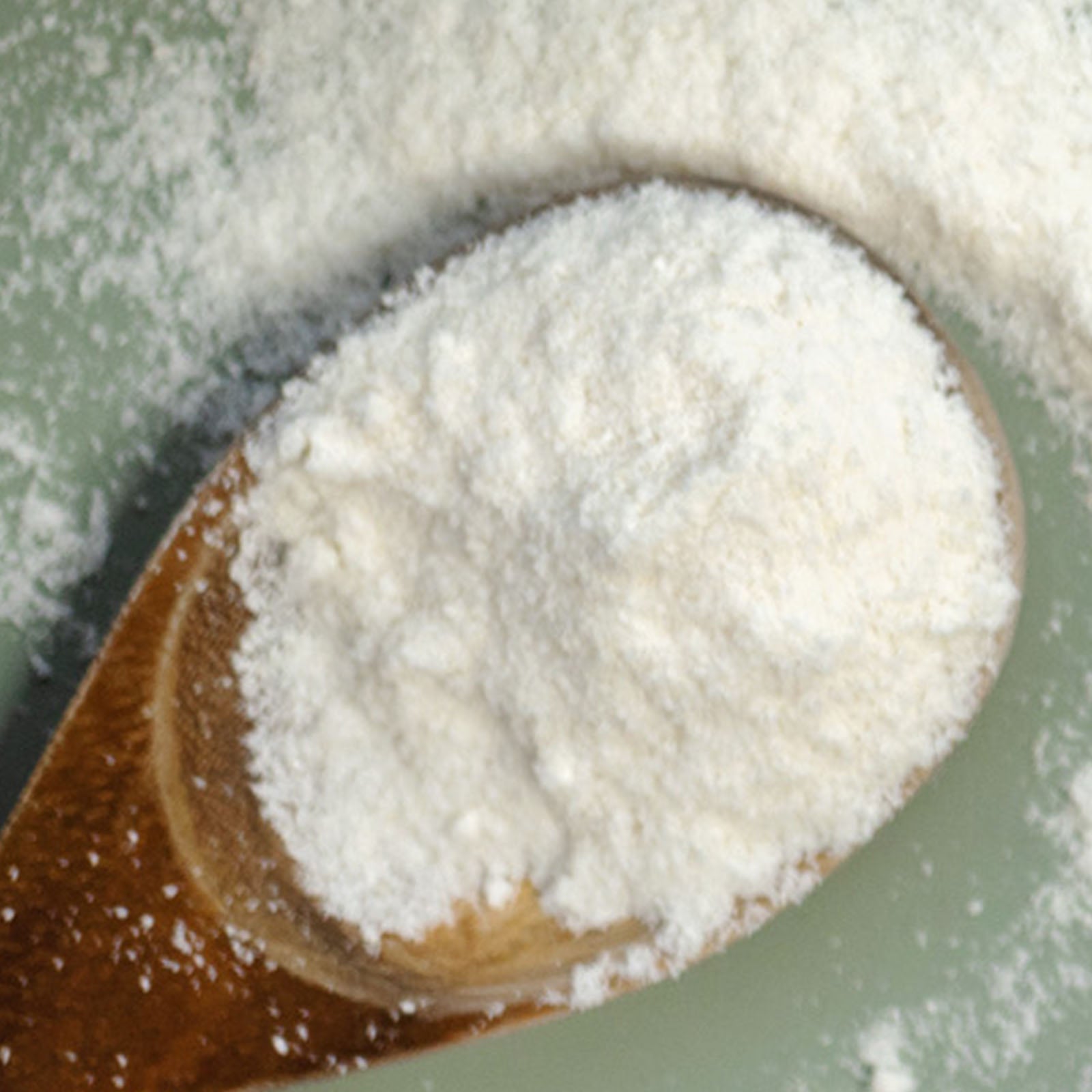 Cocos nucifera (coconut) milk powder