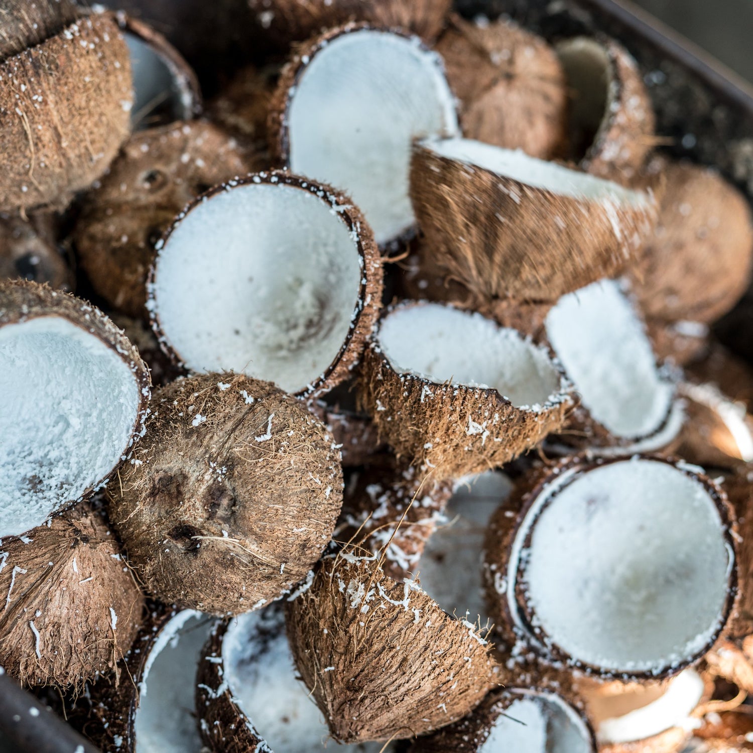 Samoa coconuts