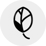 Linalool