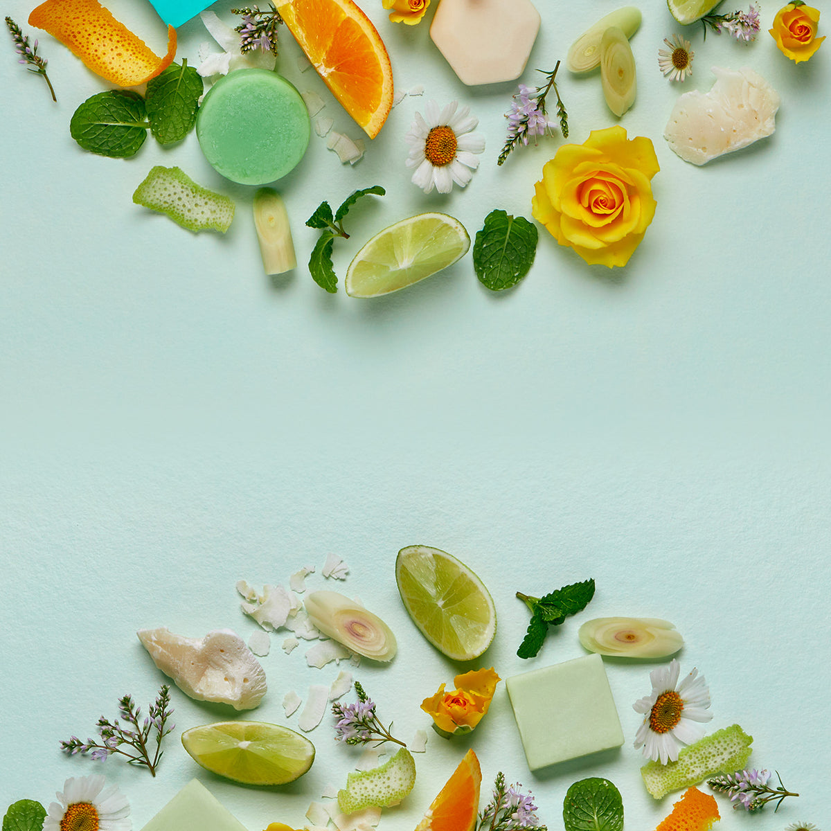 Shampoo Bar Samples Shop Online – Ethique