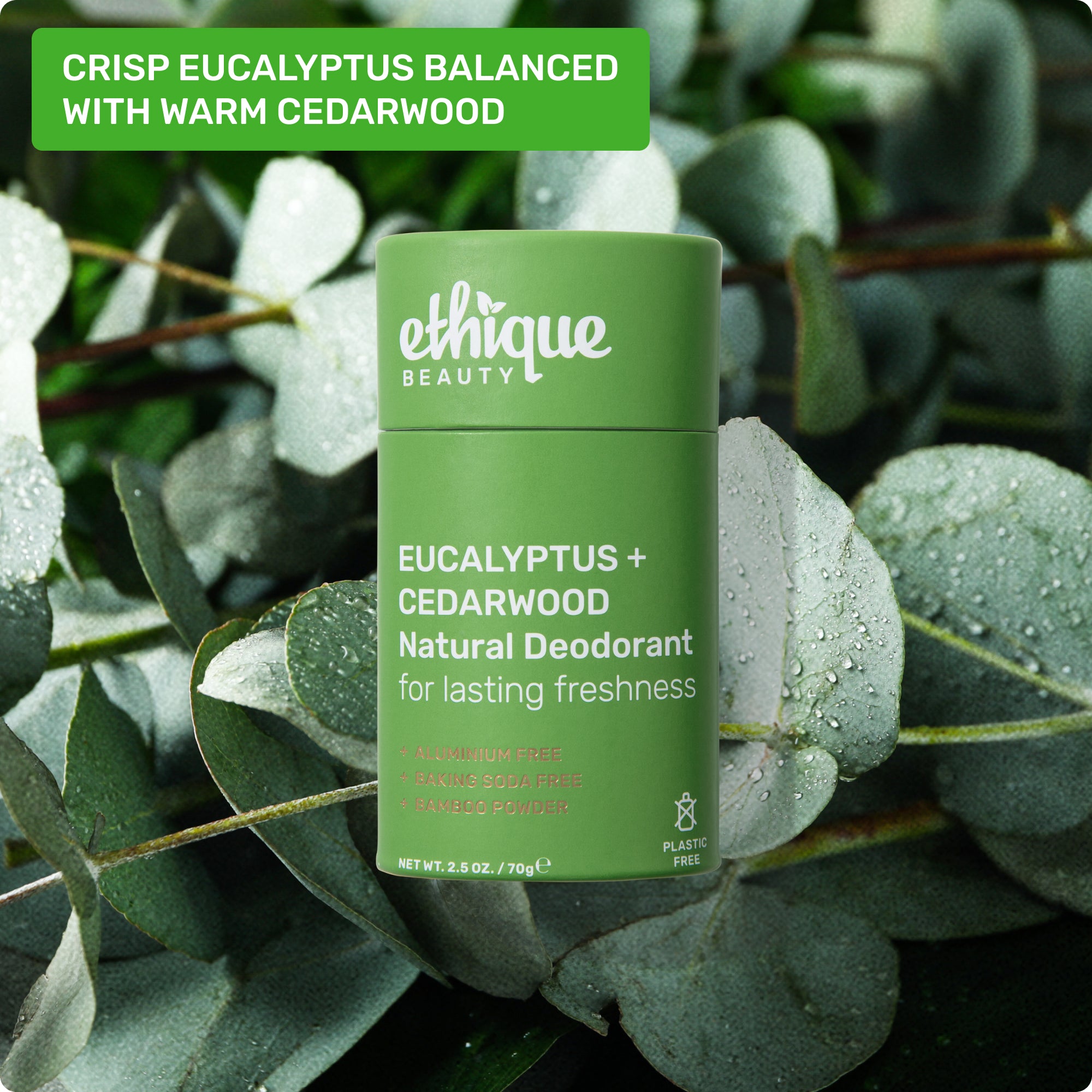 Scent: crips eucalyptus balanced with warm cedarwood
