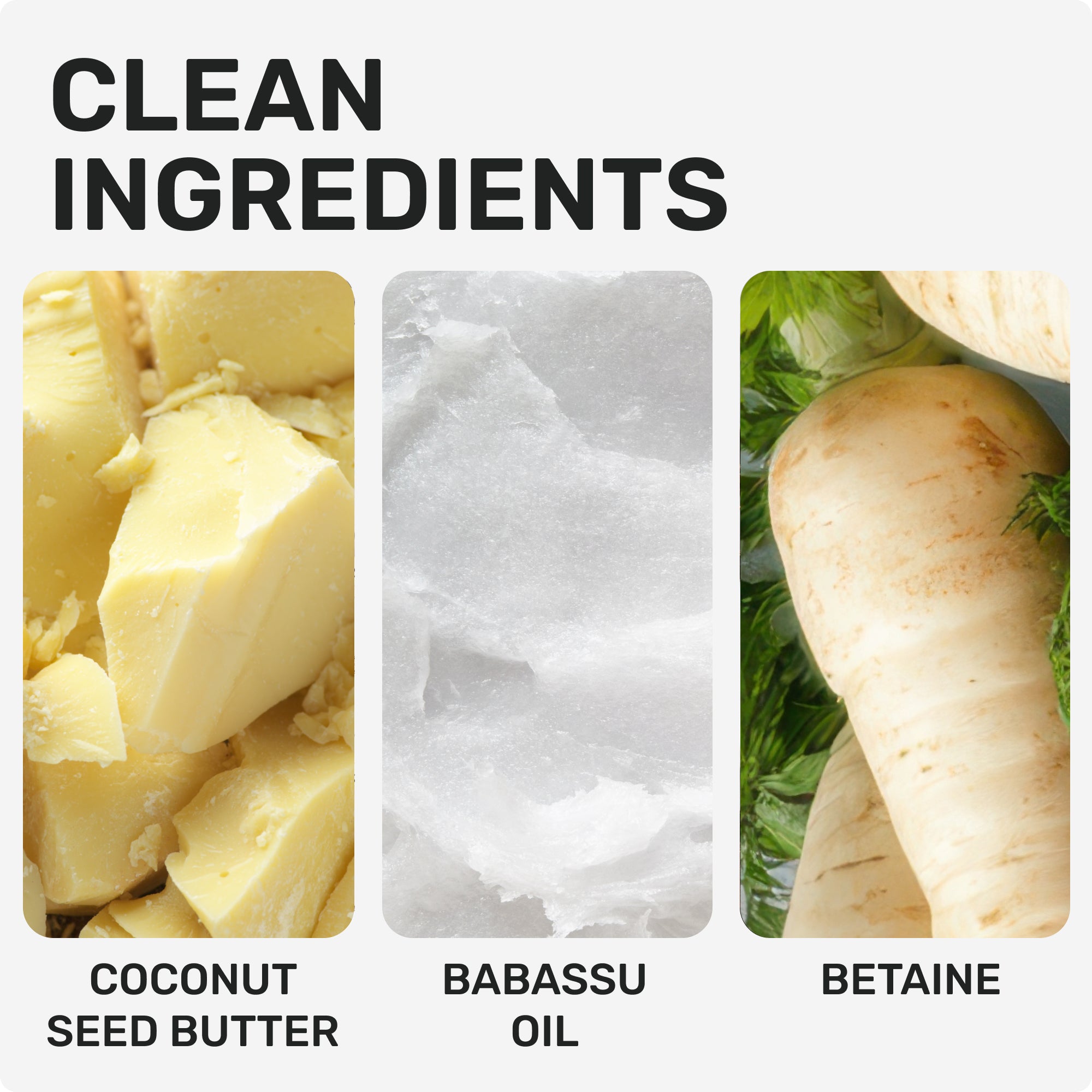 CLEAN INGREDIENTS
Coconut Seed Butter
Babassu Oil
Betaine