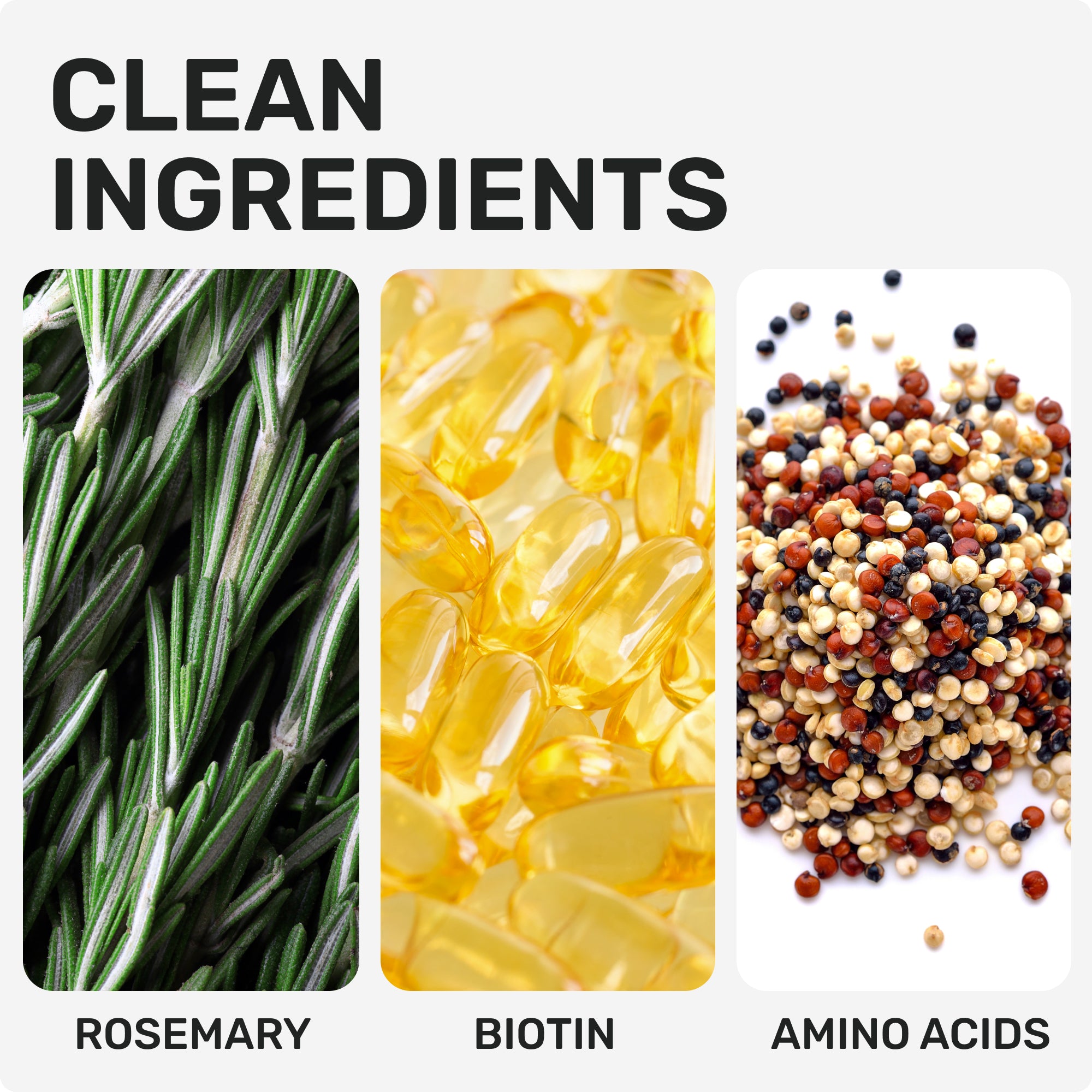 CLEAN INGREDIENTS
ROSEMARY
BIOTIN
AMINO ACIDS